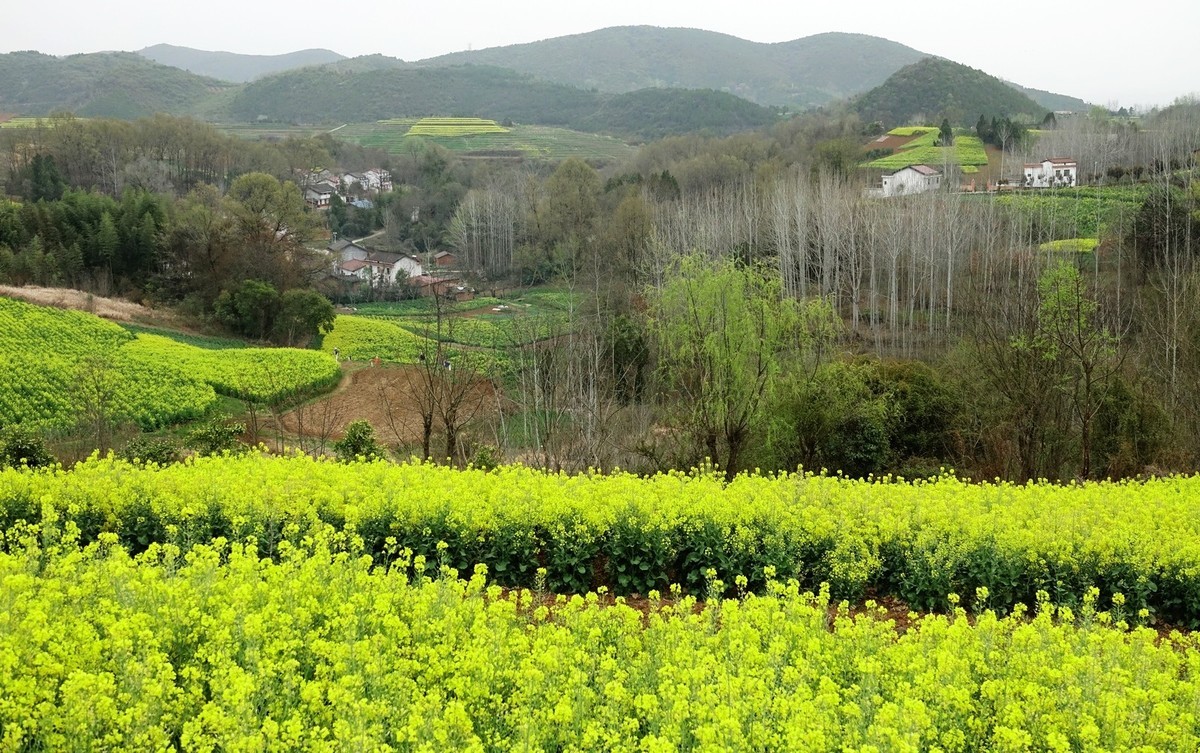 我只是把出去看到的随手记录下来（132）