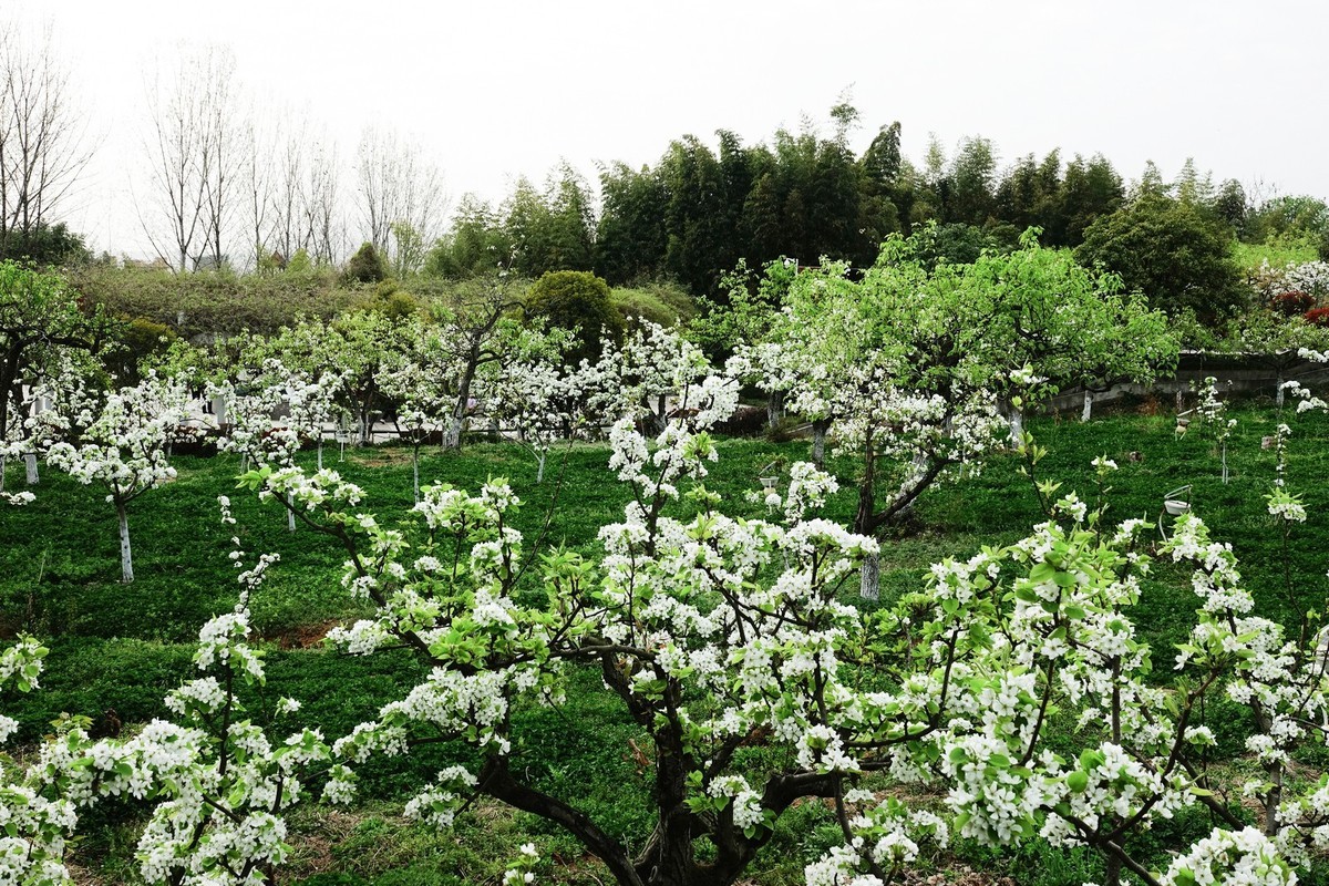 我只是把出去看到的随手记录下来（132）