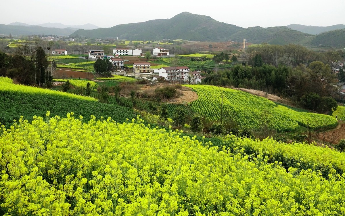 我只是把出去看到的随手记录下来（132）