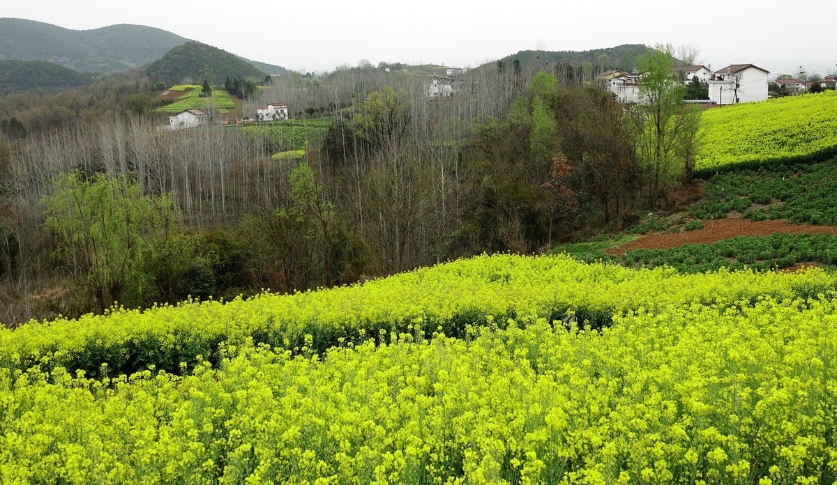 我只是把出去看到的随手记录下来（132）