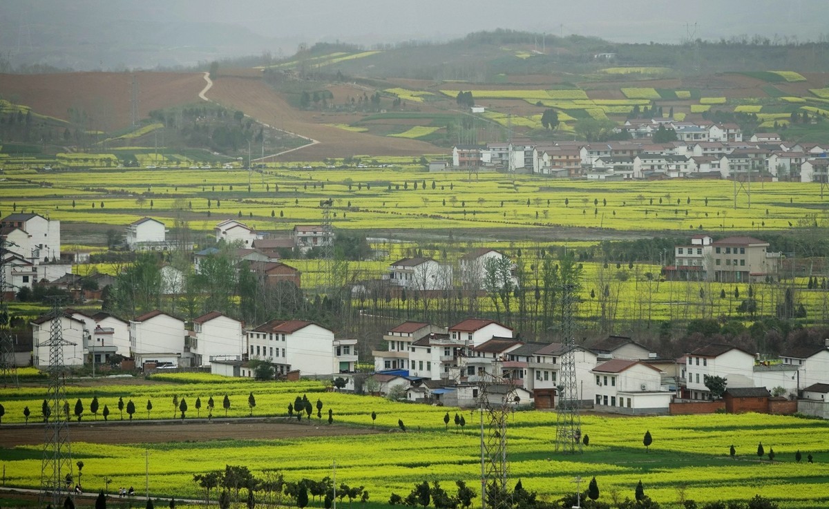 如此汉中洋县朱鹮梨园