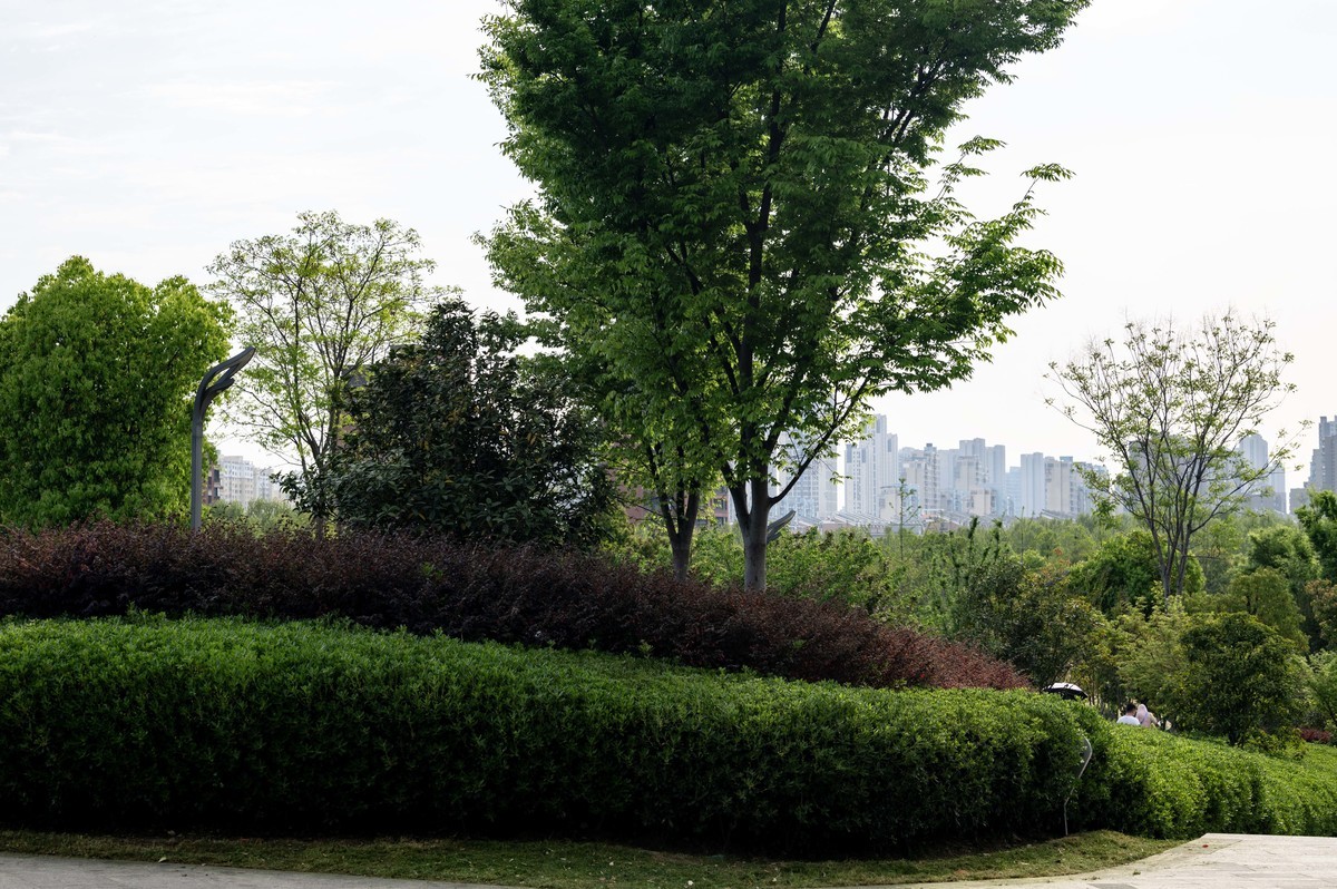 庐州印象（452）四里渠滨水公园