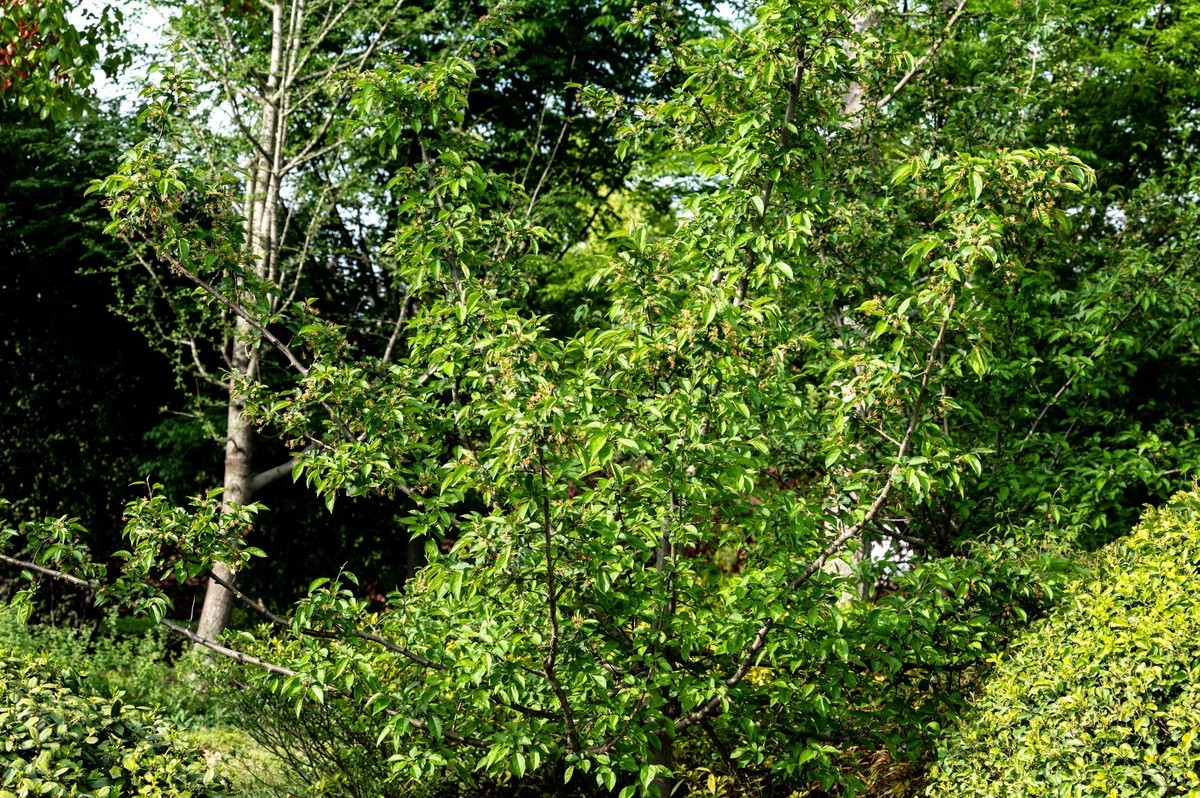 庐州印象（452）四里渠滨水公园