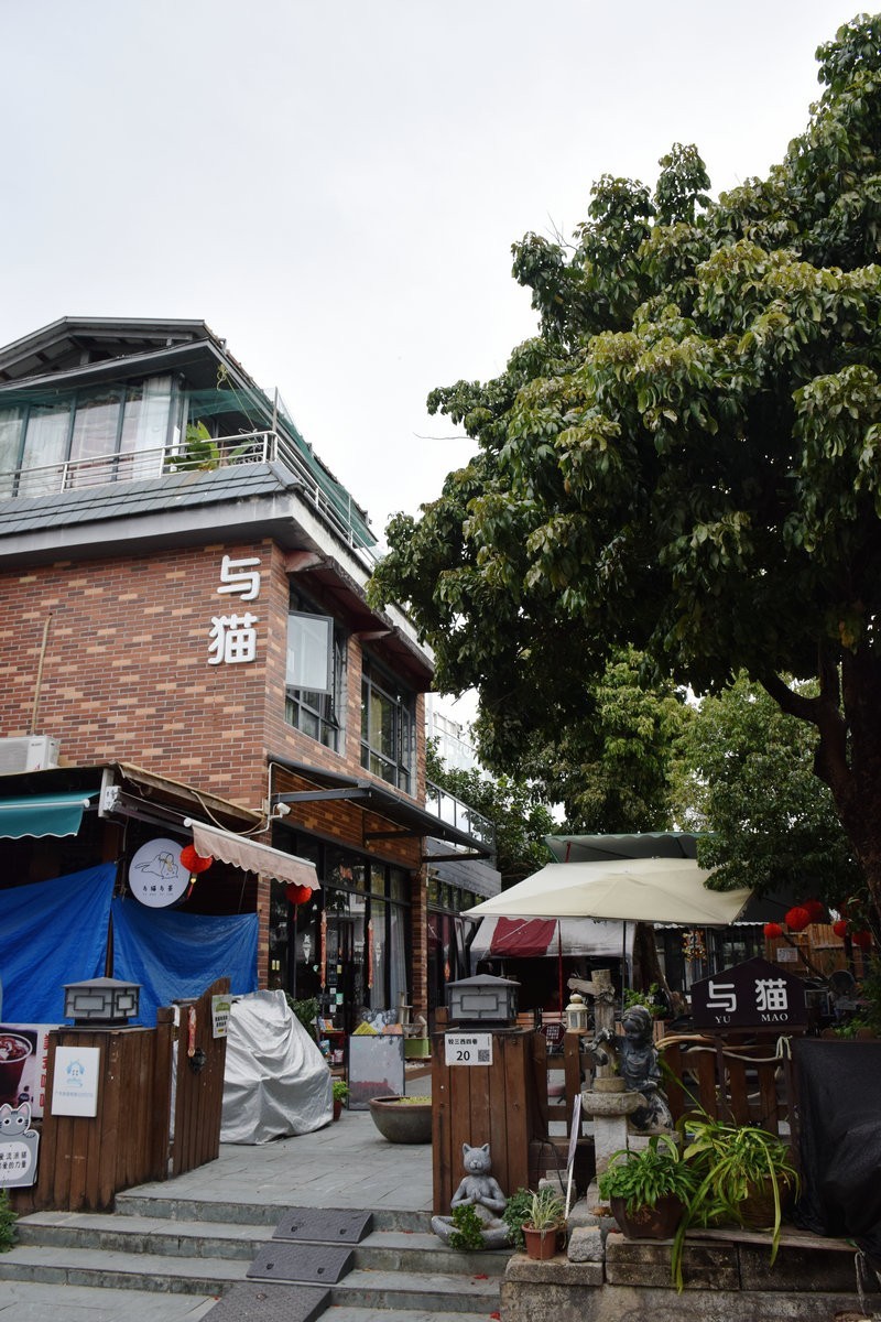 2025春节 广东行（98）深圳水上运动发源地---龙岐湾