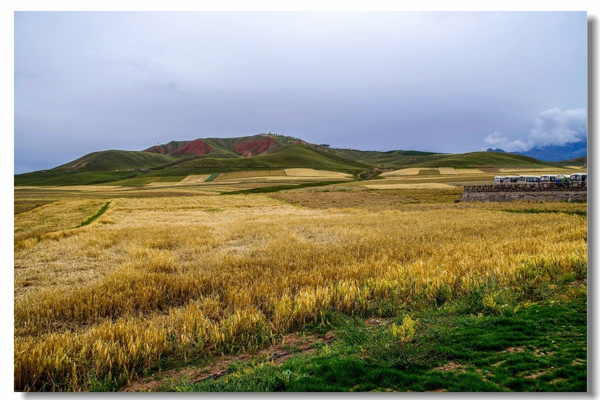 青甘大环之旅——卓尔山下（3）
