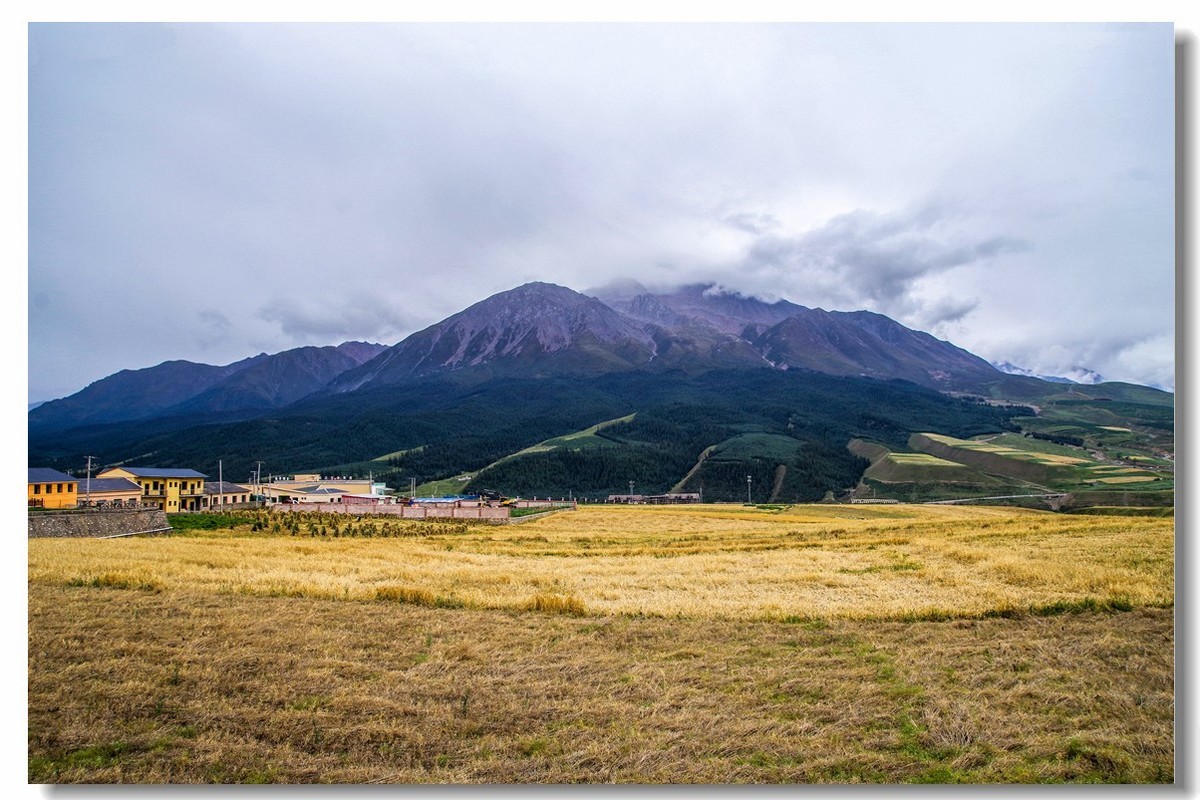 青甘大环之旅——卓尔山下（3）