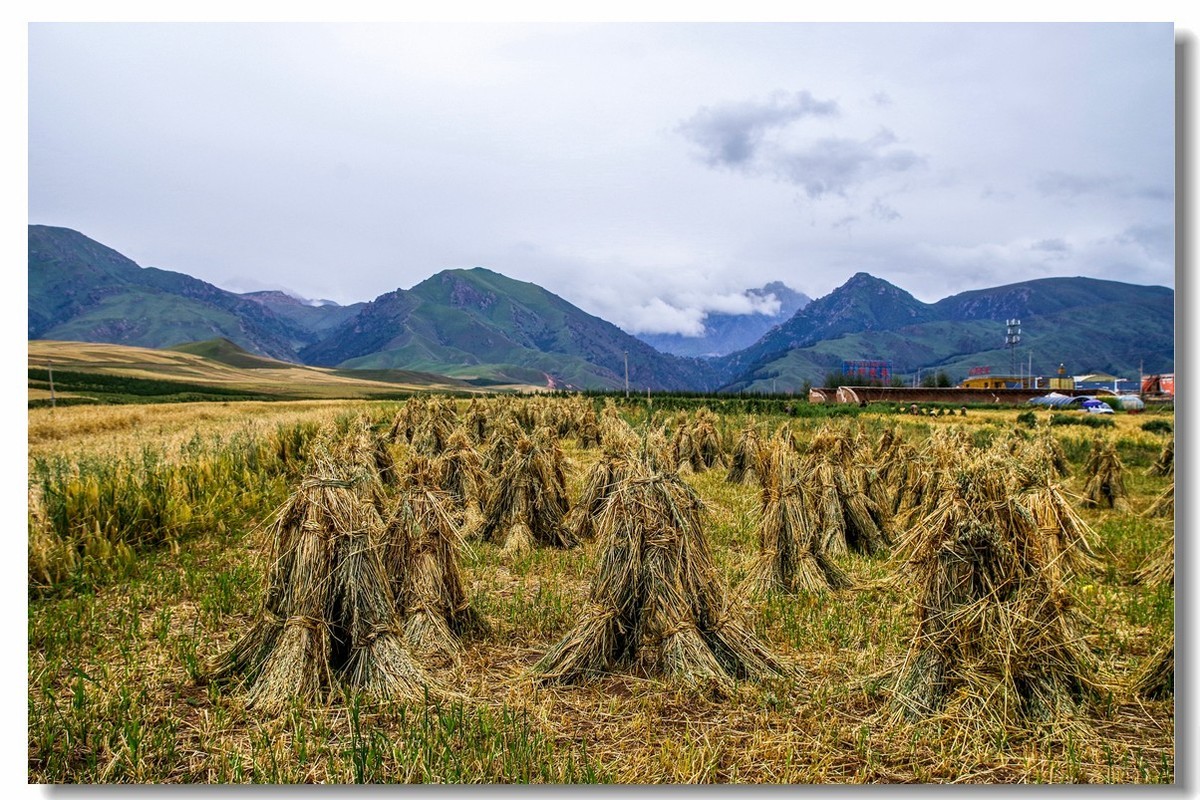 青甘大环之旅——卓尔山下（3）