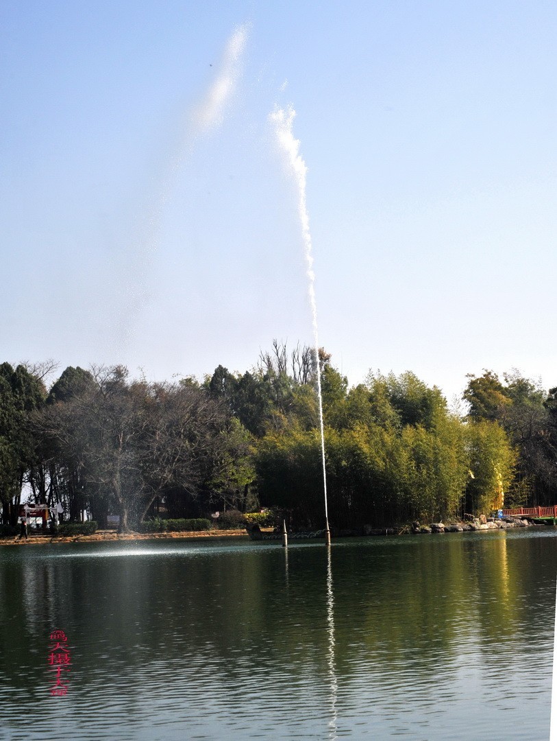 2025年春节蝴蝶泉边      周鸣天