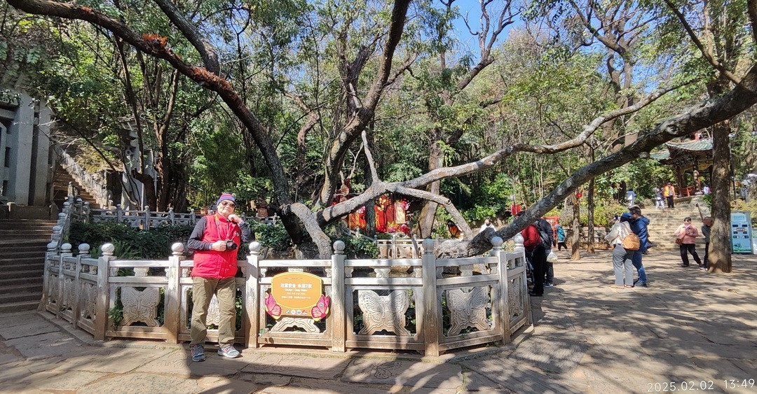 2025年春节蝴蝶泉边      周鸣天