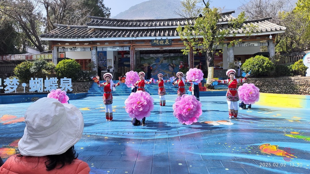 2025年春节蝴蝶泉边      周鸣天