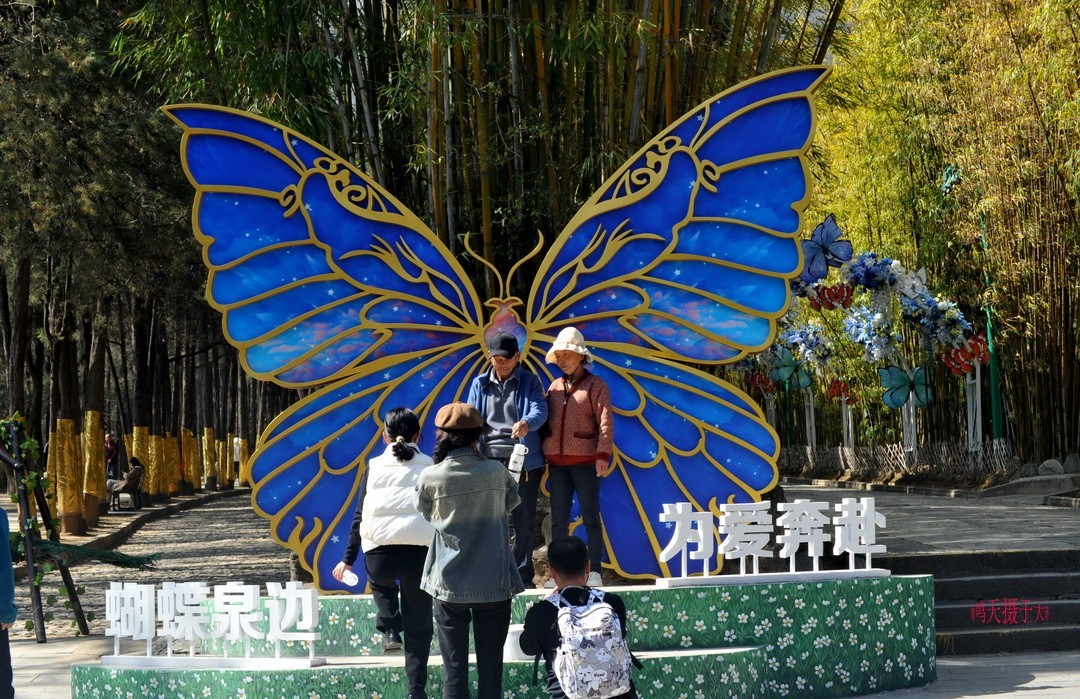 2025年春节蝴蝶泉边      周鸣天