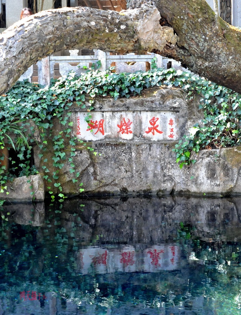 2025年春节蝴蝶泉边      周鸣天