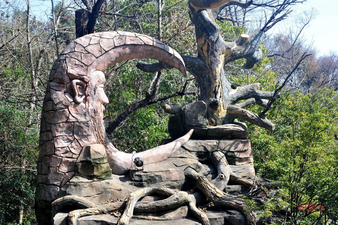 2025年春节蝴蝶泉边      周鸣天