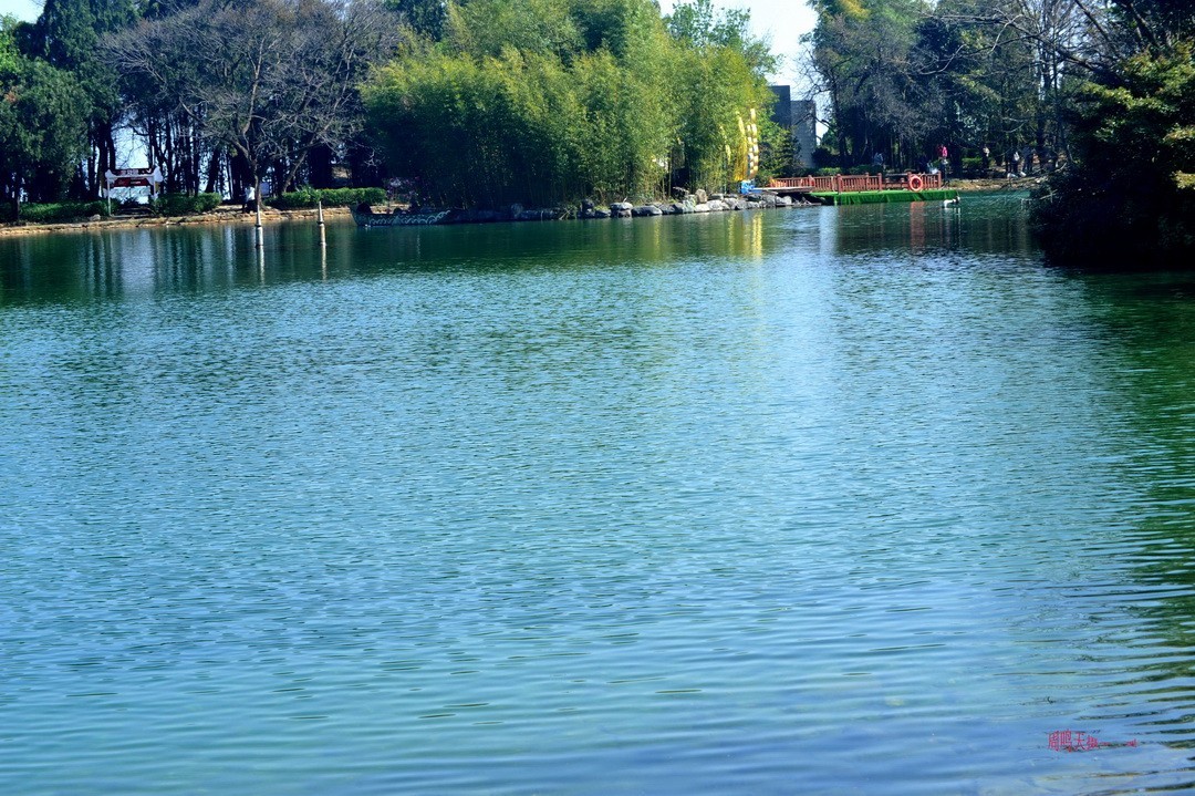 2025年春节蝴蝶泉边      周鸣天