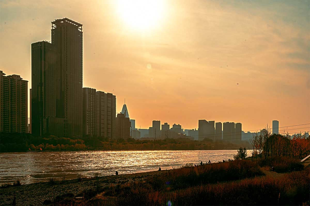 随                                   拍