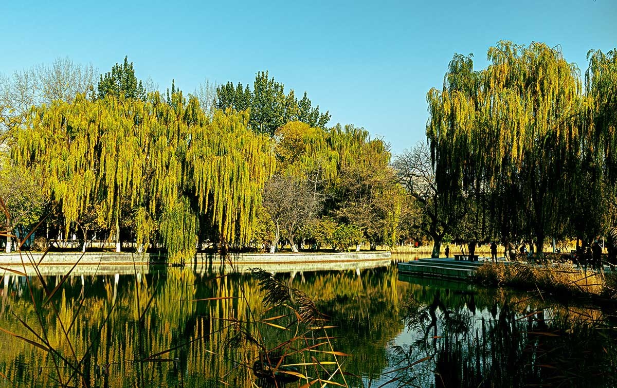 随                                   拍