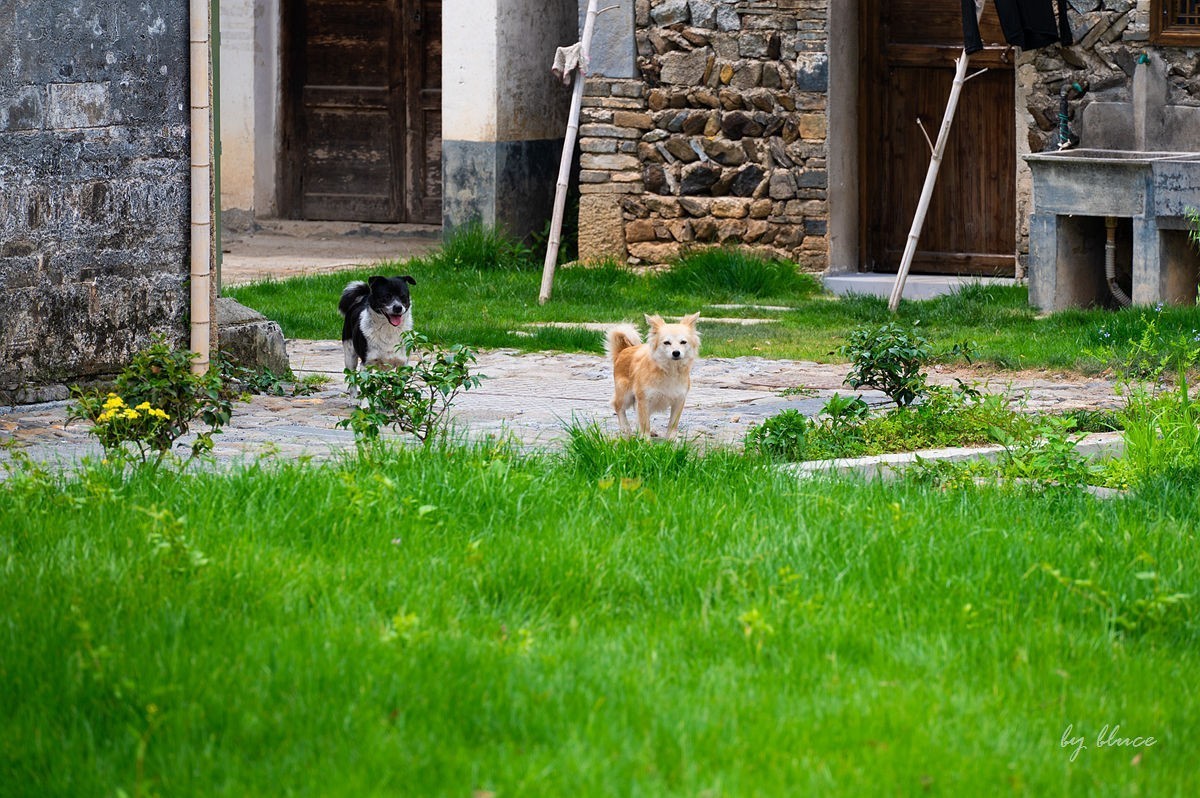 关麓古村【下】