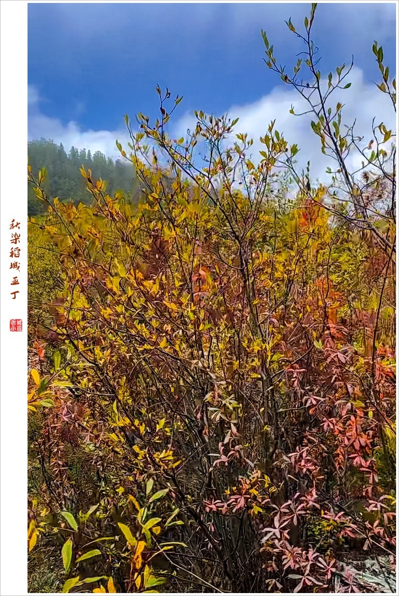 2022年第899贴-稻城亚丁云拍-293（1031F）