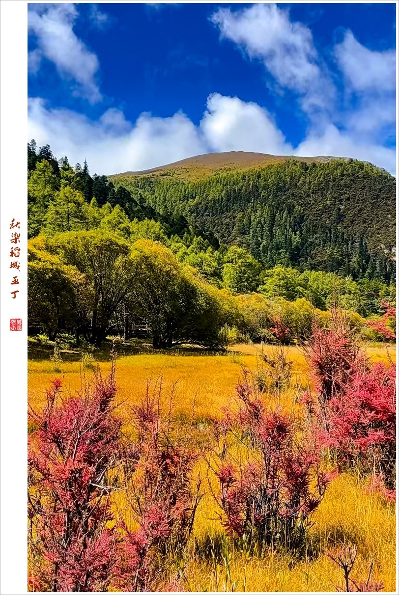 2022年第899贴-稻城亚丁云拍-293（1031F）