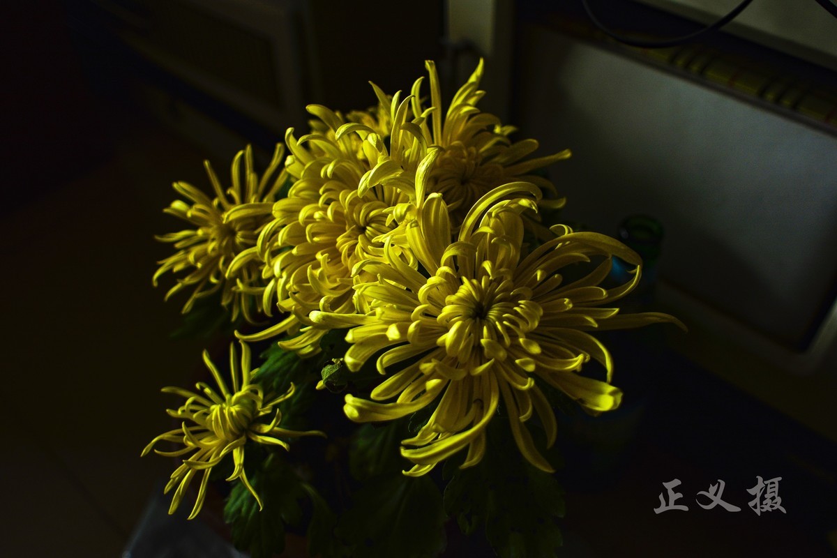 入手的老镜头20mmF2.8拍几张