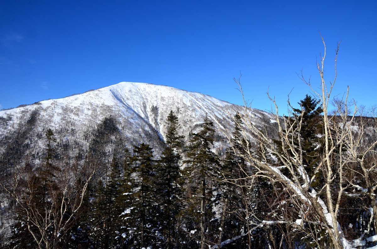 亚布力——二浪河子雪乡游拍（3）