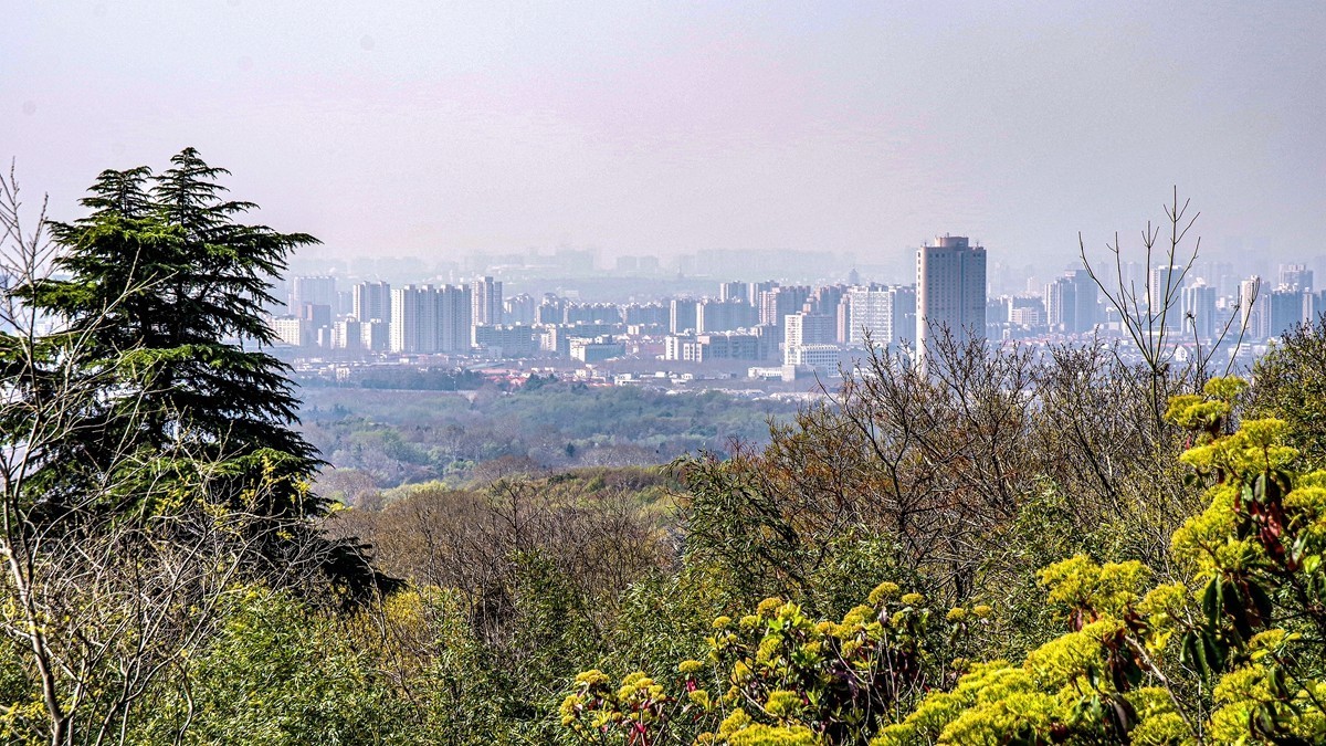 南京--拜谒中山陵【6】