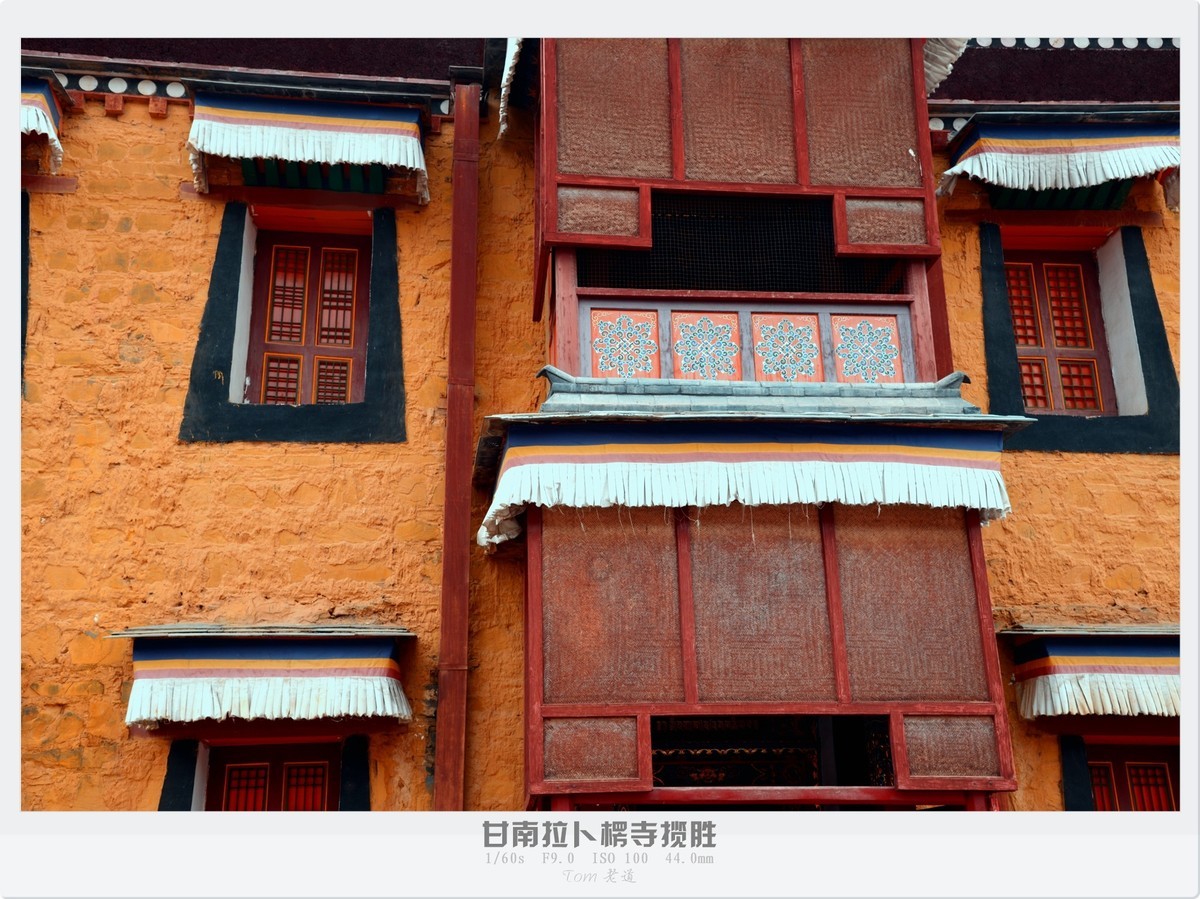 甘南拉卜楞寺探幽！！