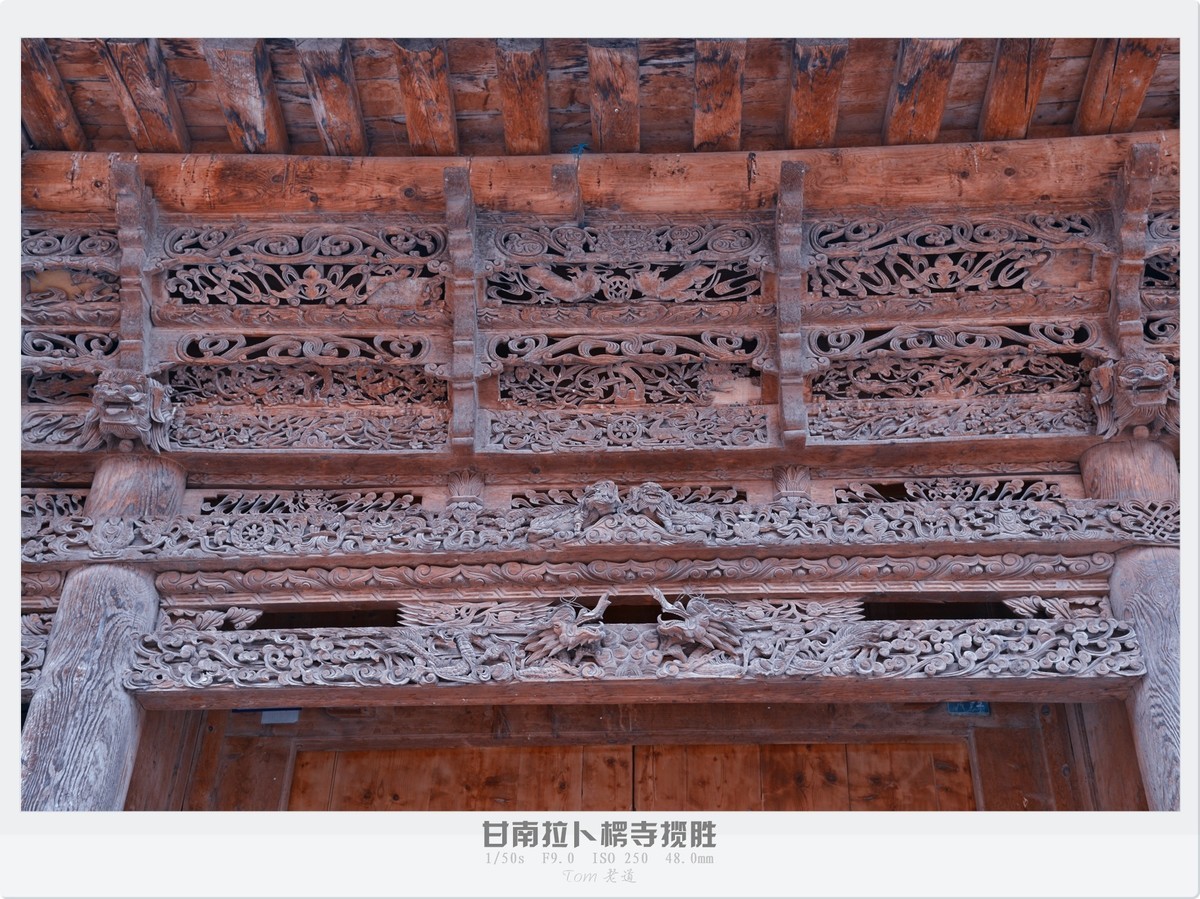 甘南拉卜楞寺探幽！！