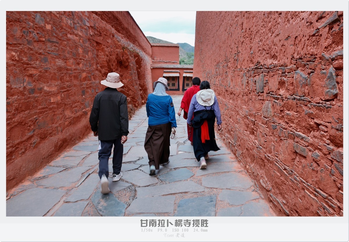 甘南拉卜楞寺探幽！！