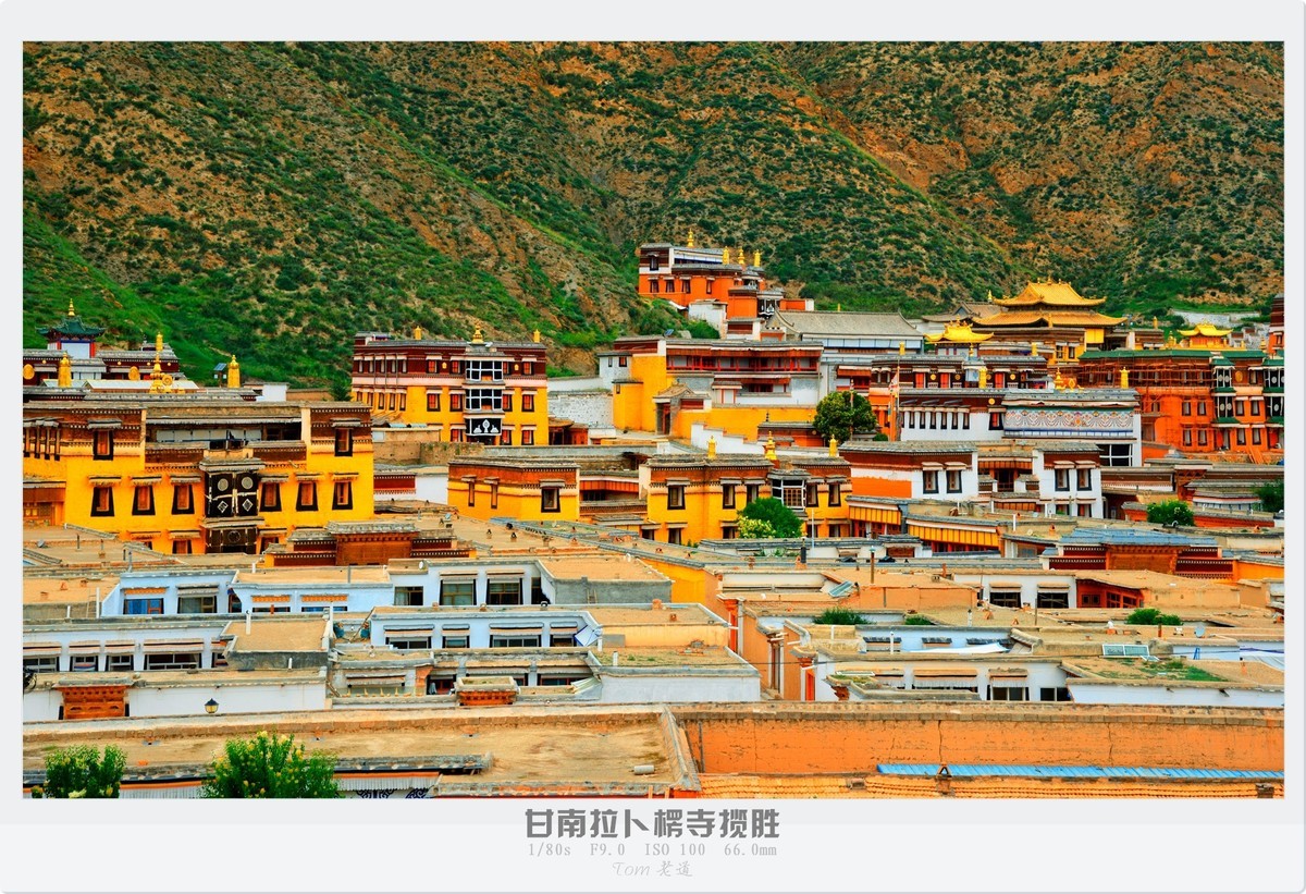 甘南拉卜楞寺探幽！！