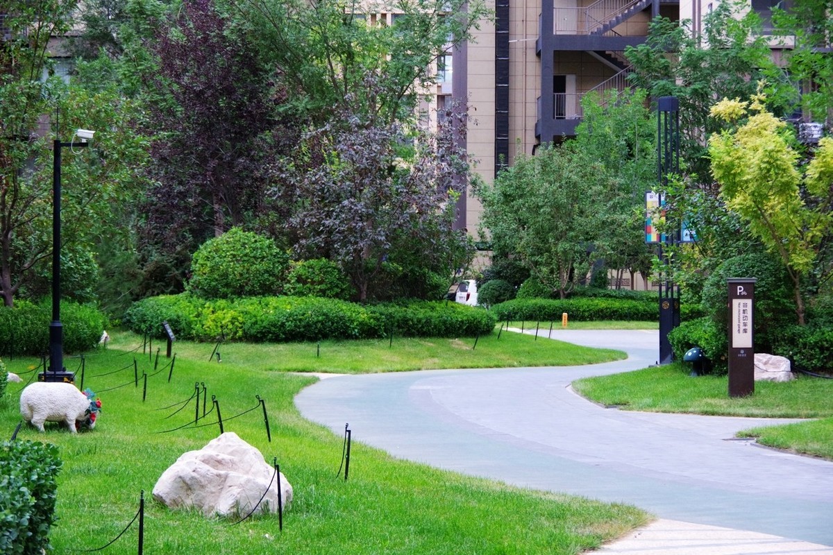 俺并不喜欢玩摄影，只是喜欢随手拍而已！