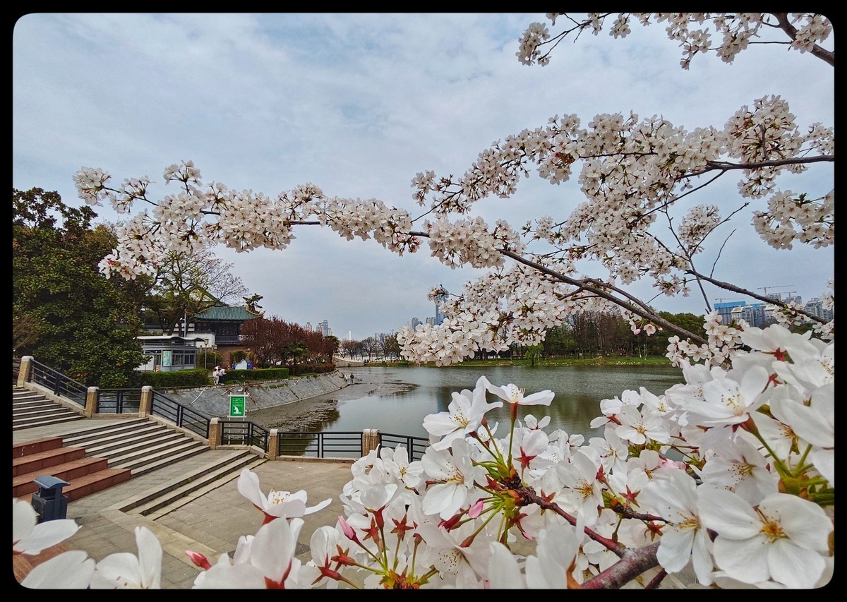 花季踏青好时节