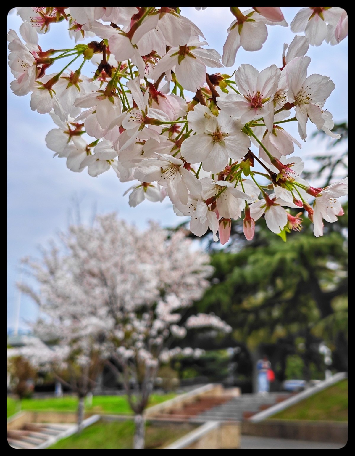 花季踏青好时节