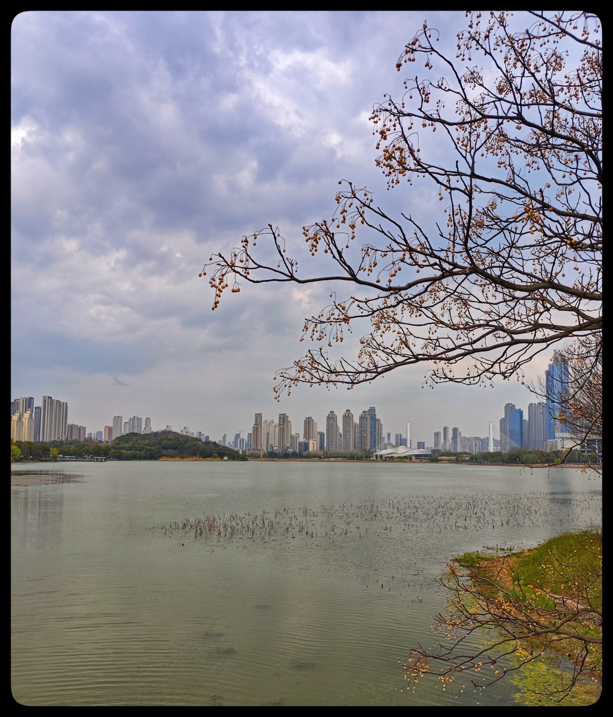 花季踏青好时节