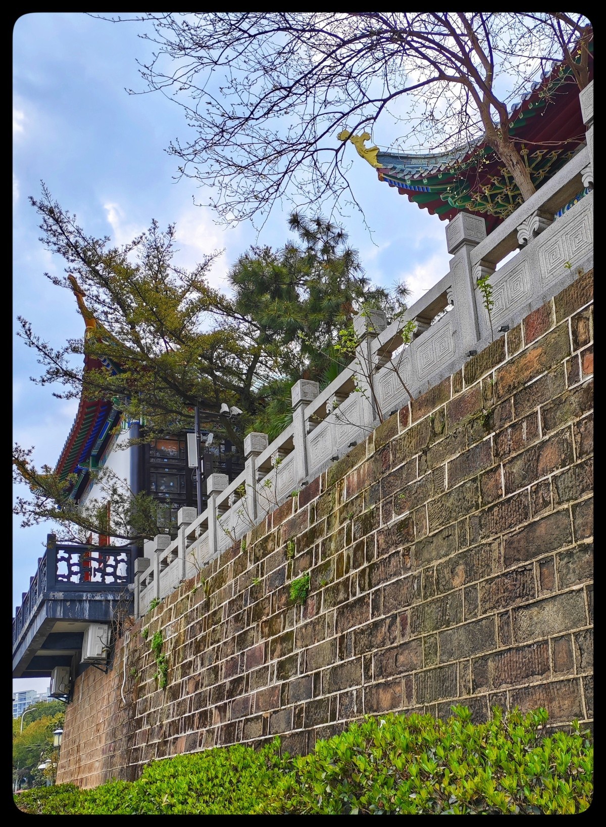 花季踏青好时节