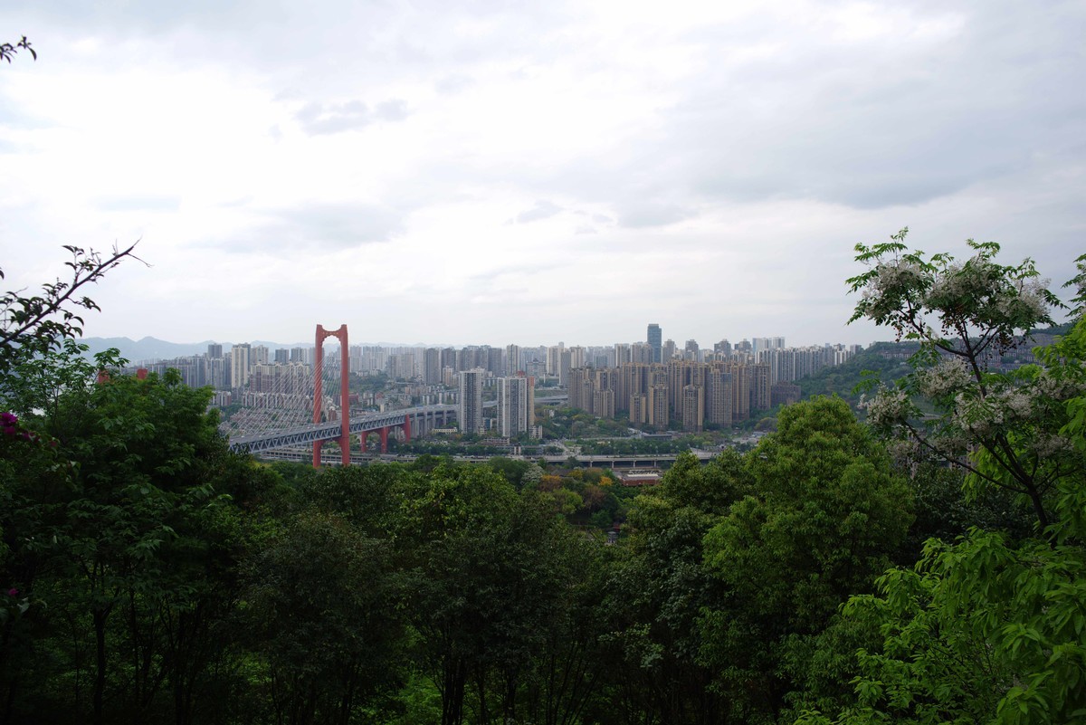 渝中半岛虎头岩公园