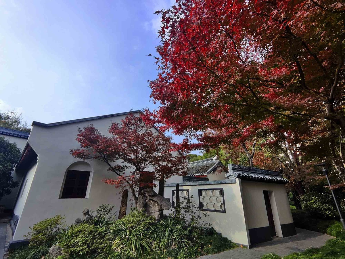 闸北公园【续】