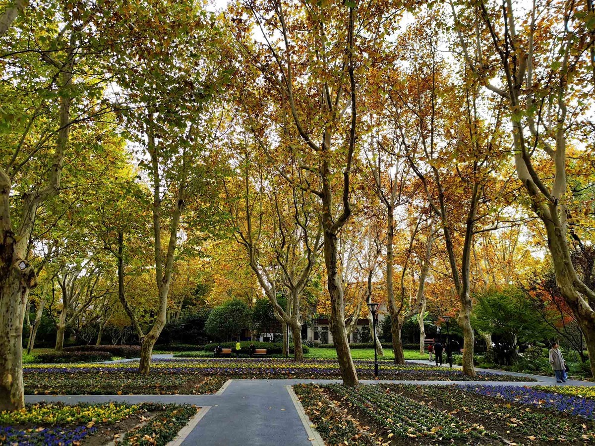 闸北公园【续】