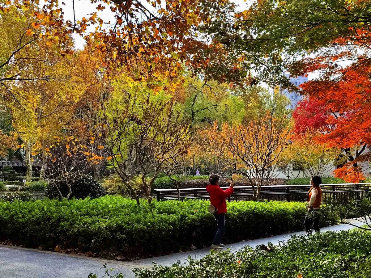 闸北公园【续】