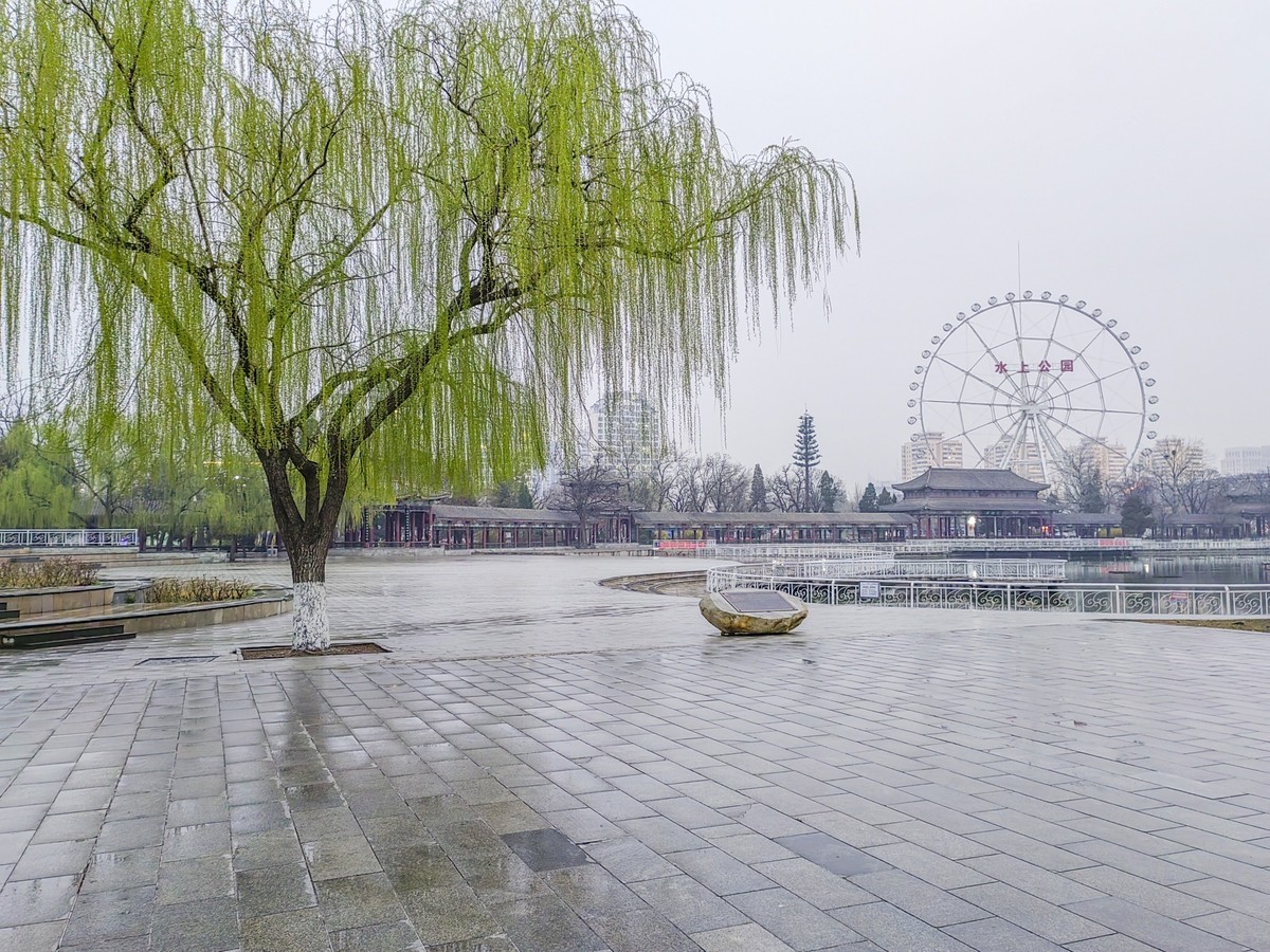 细雨蒙蒙的春景