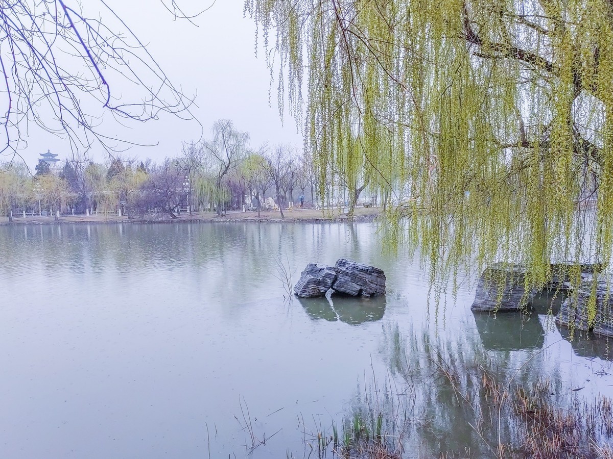 细雨蒙蒙的春景