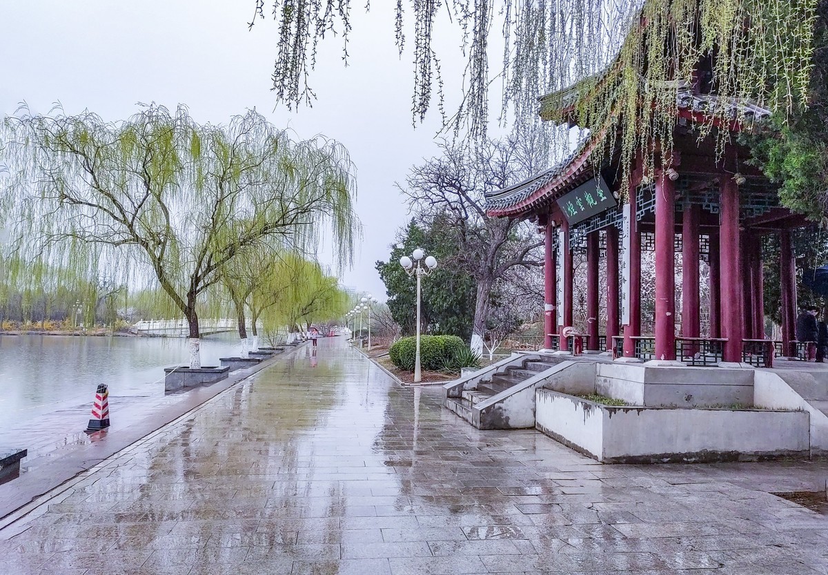 细雨蒙蒙的春景