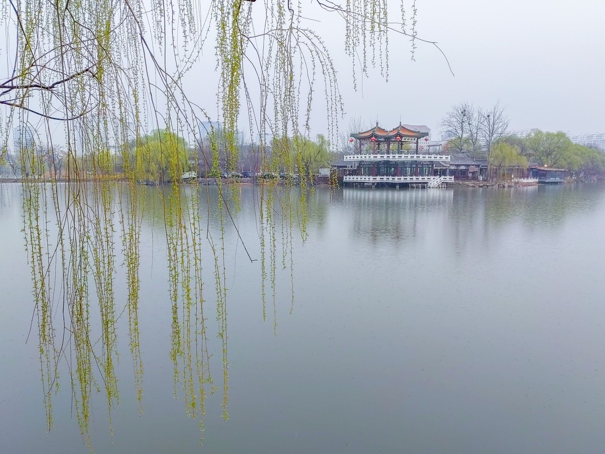 细雨蒙蒙的春景
