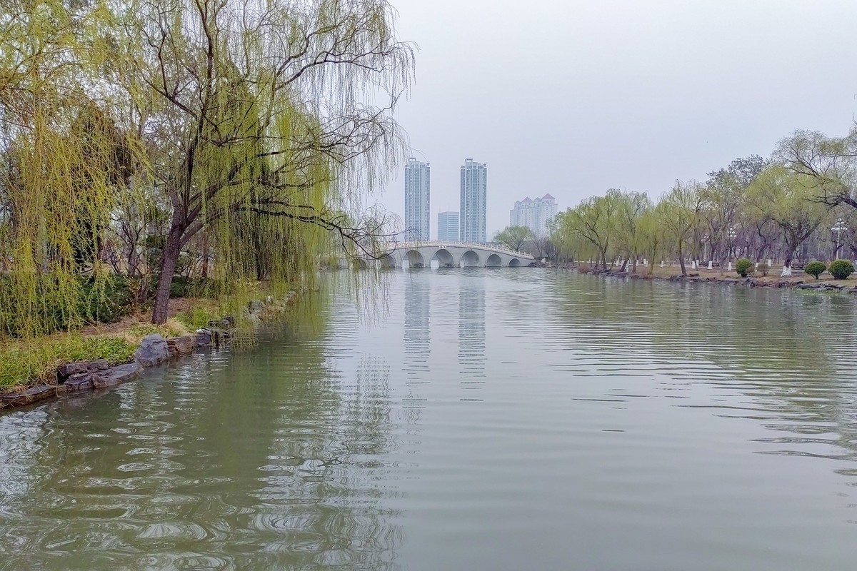 细雨蒙蒙的春景