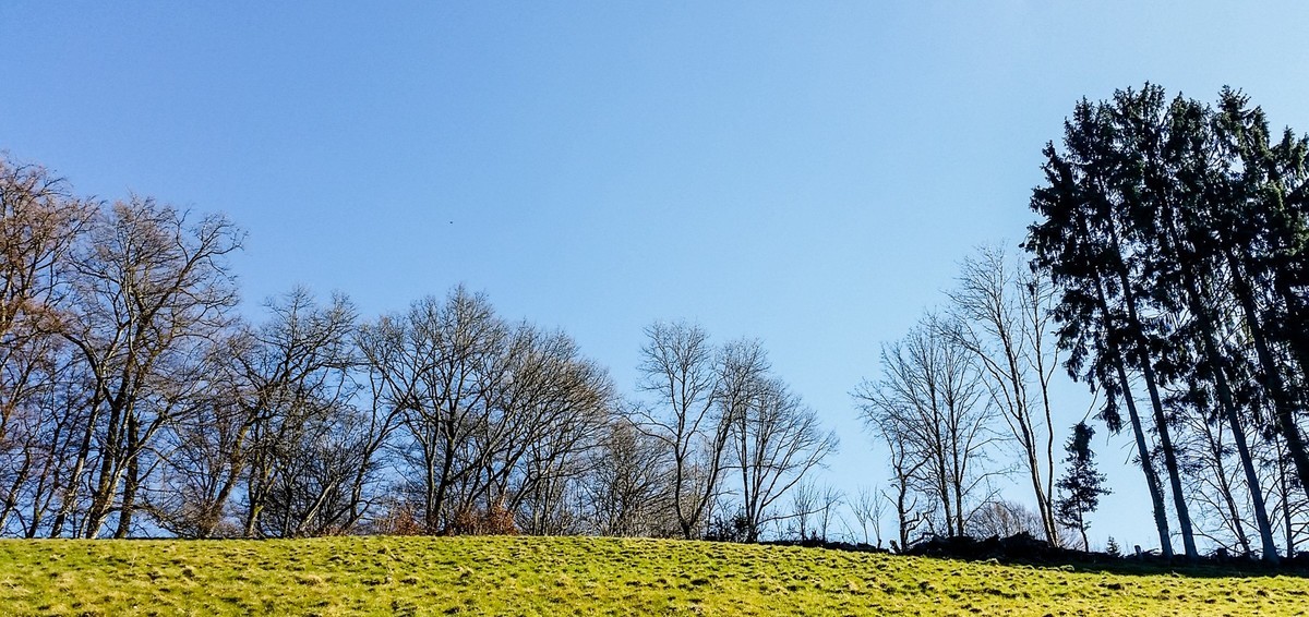 骑拍“黑森林”（南德）