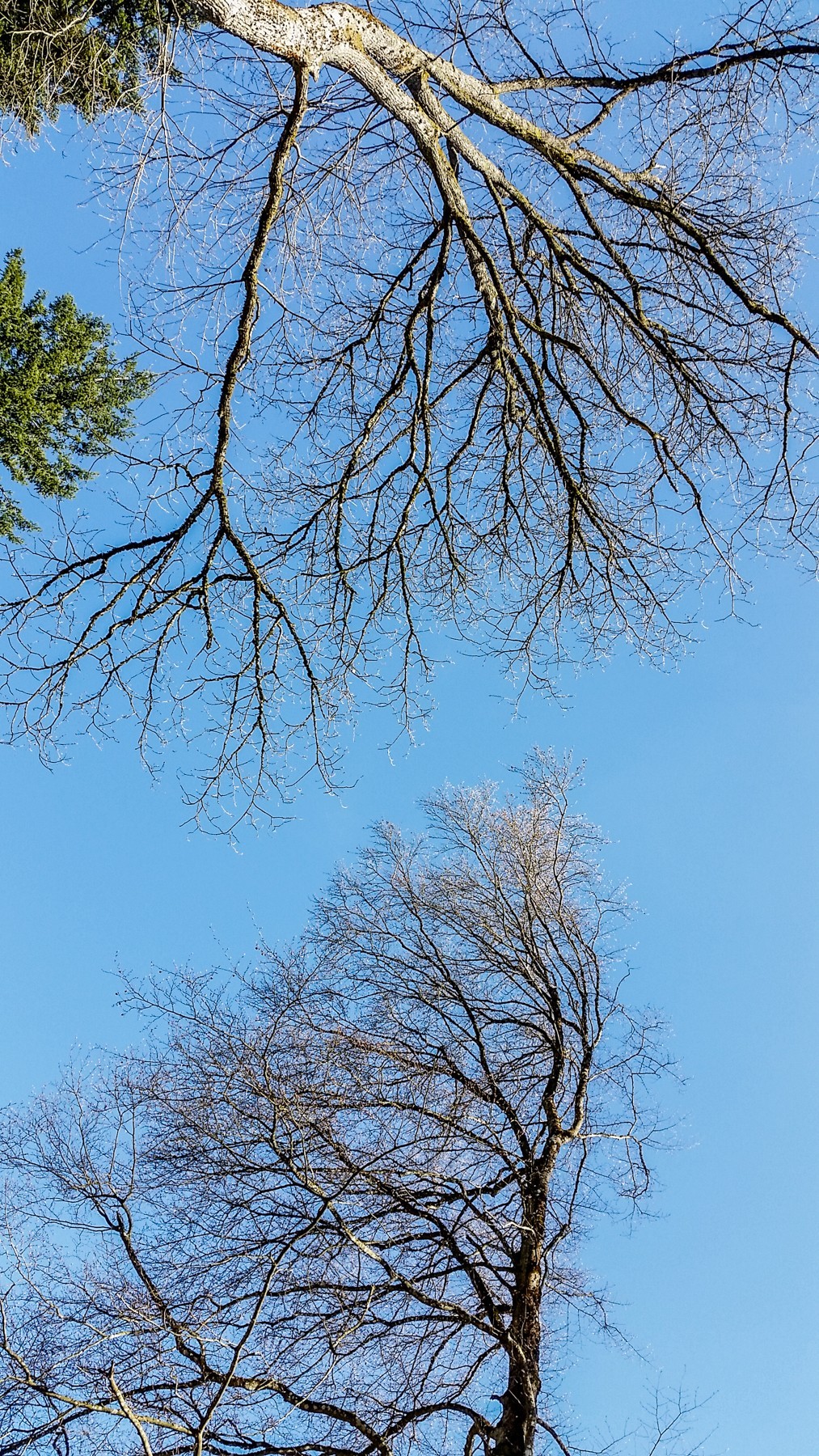 骑拍“黑森林”（南德）