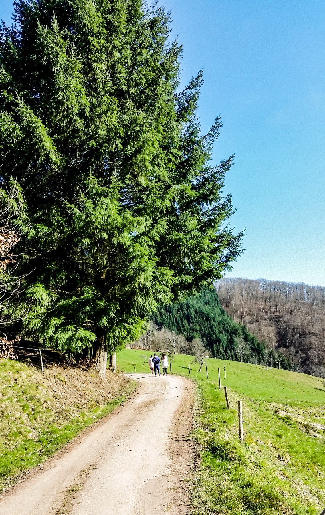 骑拍“黑森林”（南德）