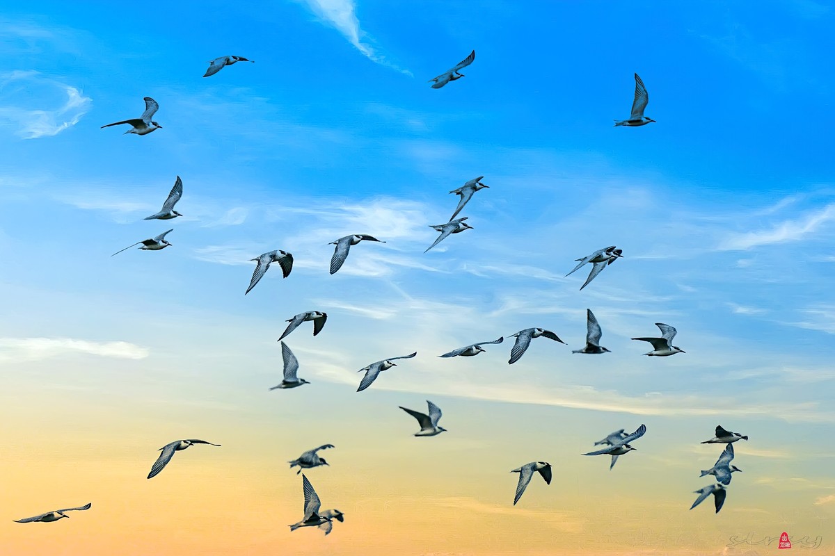 天高任鸟飞-中关村在线摄影论坛