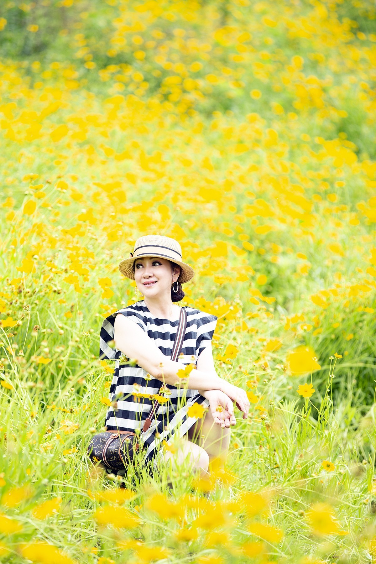 满城尽带黄金甲