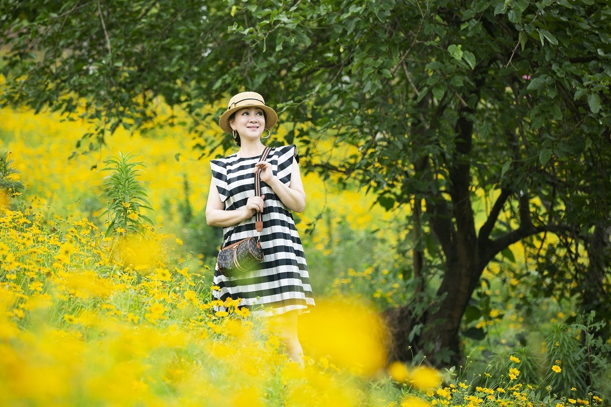 满城尽带黄金甲